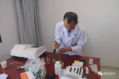 榆陽開展暑期餐飲服務(wù)專項(xiàng)檢測，筑牢食品安全防線